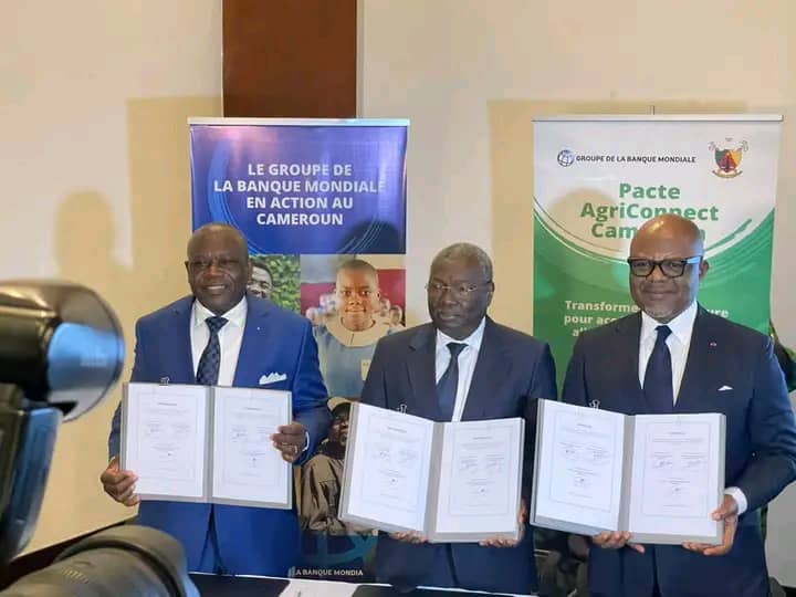 1 119 milliards de FCFA et 8 filières clés : Le Cameroun lance le « Pacte Agri-Connect » pour révolutionner son agroalimentaire d’ici 2030